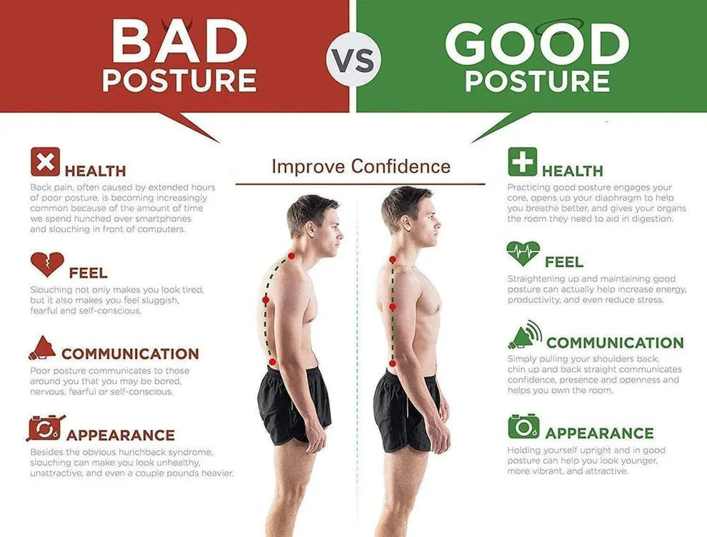 FlexiSpine Support - emphasizes flexibility + spine care