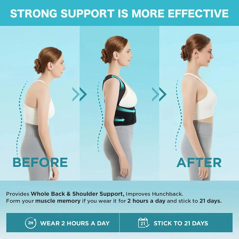FlexiSpine Support - emphasizes flexibility + spine care